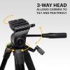 imageKODAK PhotoGear 62quot Lightweight Tripod  Compact 3Section FlipLock Aluminum Tripod Adjusts 2262 QuickRelease Plate Smartphone Adapter ampamp 14 to 38 Screw Bubble Level Carry Case EGuide62 With Remote
