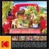 imageRoseArt  Kodak Premium  Bird Bath Garden  1000 Piece Jigsaw Puzzle for AdultsStowaways