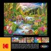 imageRoseArt  Kodak Premium  Love is Everywhere  1000 Piece Jigsaw Puzzle for AdultsWild Frontier
