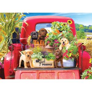 imageRoseArt  Kodak Premium  Bird Bath Garden  1000 Piece Jigsaw Puzzle for AdultsStowaways