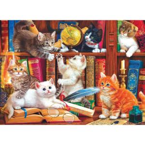 imageRoseArt  Kodak Premium  Love is Everywhere  1000 Piece Jigsaw Puzzle for AdultsLibrary Mischief