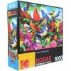 imageRoseArt  Kodak Premium  Route 661000 Piece Jigsaw Puzzle for AdultsFriendly Birds