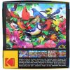 imageRoseArt  Kodak Premium  Route 661000 Piece Jigsaw Puzzle for AdultsFriendly Birds