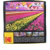 imageRoseArt  Kodak Premium  Route 661000 Piece Jigsaw Puzzle for AdultsSunset Balloons