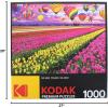 imageRoseArt  Kodak Premium  Route 661000 Piece Jigsaw Puzzle for AdultsSunset Balloons