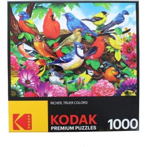 imageRoseArt  Kodak Premium  Route 661000 Piece Jigsaw Puzzle for AdultsFriendly Birds