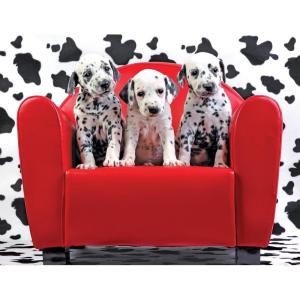 imageRoseArt  Kodak Premium  Space Shuttle Launch  100 Piece Jigsaw Puzzle for AdultsLots of Spots